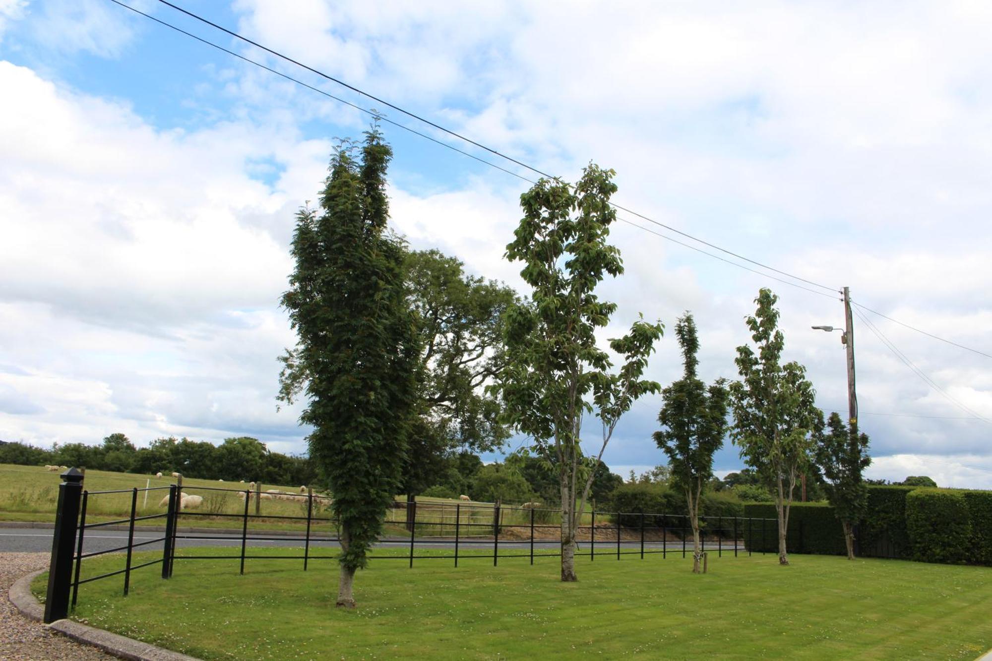 Contemporary Countryside Home Dromore (Down) Exterior foto